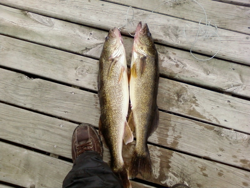 Little Bowsting Lake near Federal Dam