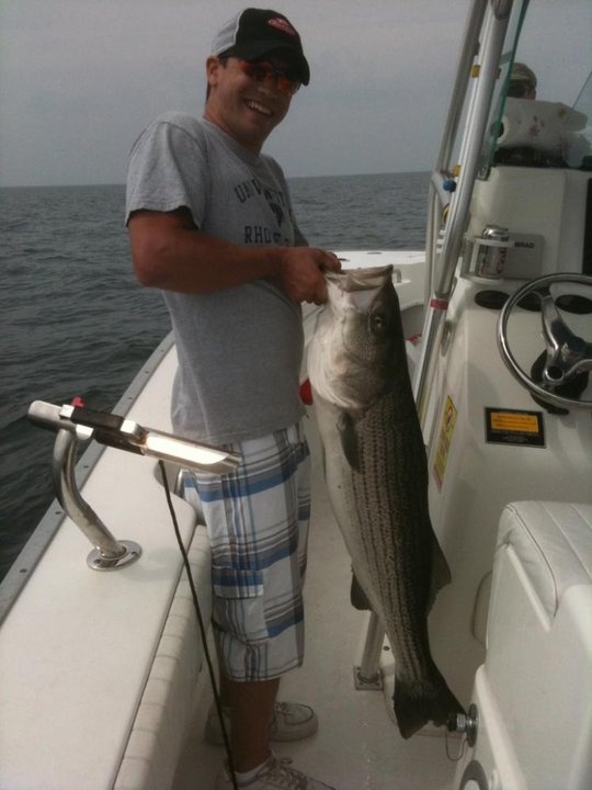 Cape Cod Striper