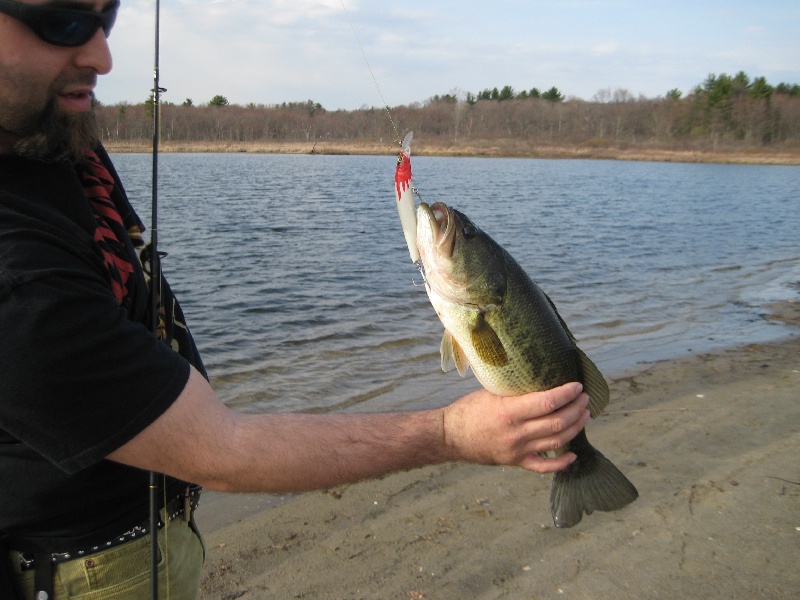 decent bass @ little pond